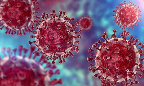 Thủ tướng chỉ đạo chủ động kiểm soát biến chủng mới Omicron