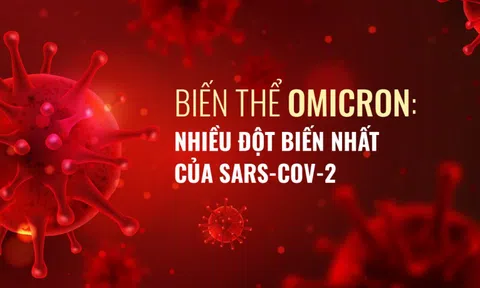 Omicron - biến thể lây lan nhanh hơn Delta 500%: Gây triệu chứng điển hình gì