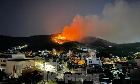Liên tiếp cháy rừng ở Hạ Long