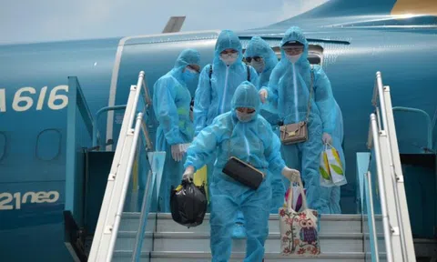 Lo biến thể Omicron, hàng không đề nghị khẩn dừng chuyến bay từ 10 nước châu Phi