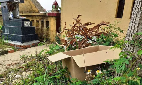 Phát hiện thùng các-tông đặt trước cổng chùa, trụ trì mở ra phát hiện điều bất ngờ