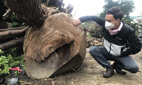 Nhà tang lễ thành nơi chứa gỗ, củi khô