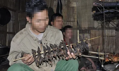 Sau khi ăn thịt chuột và uống rượu, 3 người nguy kịch