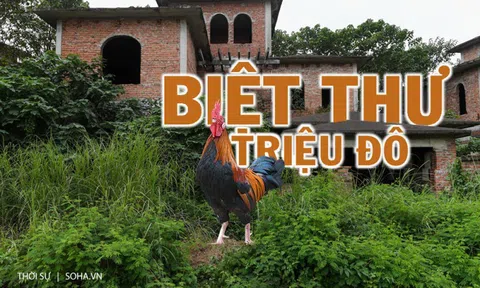 [ẢNH] Hàng trăm biệt thự triệu USD bị bỏ quên hơn thập kỷ ở Thủ đô - nhiều căn để nuôi gà