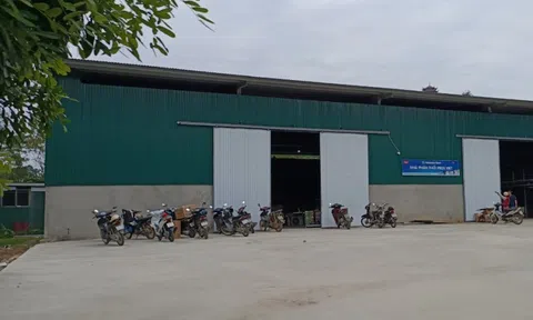 Vụ "xẻ thịt" 1.000 m2 đất cho thuê trái thẩm quyền: Công trình vẫn ngang nhiên tồn tại