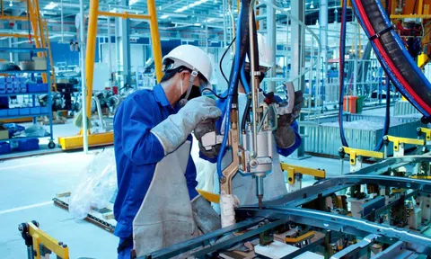 Từ 1/2/2022, lao động thời vụ không được làm thêm quá 12 giờ/ngày