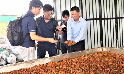 Làm giàu từ sản vật quê hương