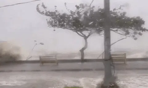 Tin bão Rai mới nhất