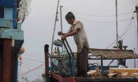 Ngư dân Quảng Nam cấp tập đưa thuyền vào bờ tránh bão