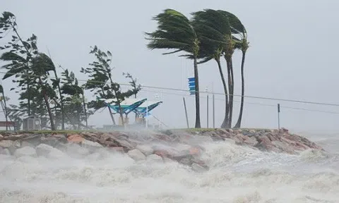 Tin bão khẩn cấp cơn bão số 9