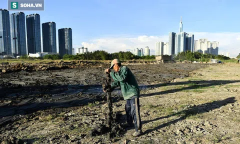 Người lính già hơn 20 năm dò tìm 'kho báu' ở bán đảo đắt đỏ nhất Việt Nam