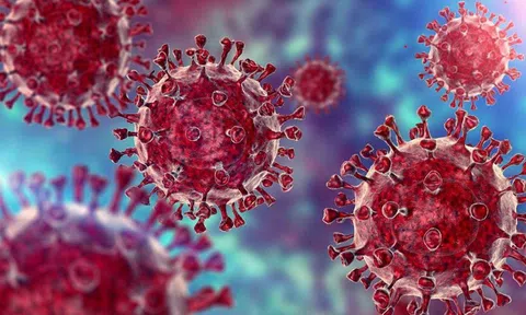 Giải trình tự gen của F0 nhập cảnh từ 28/11 để tìm biến thể Omicron