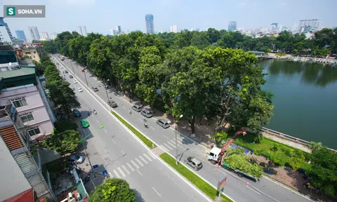 Hoài niệm về hàng cây cổ thụ 'một đi không trở lại', nhường tàu Metro ở Kim Mã