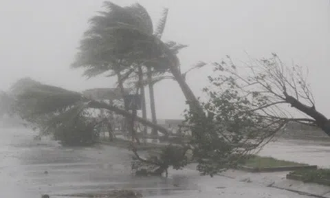 Tin mới nhất bão số 9