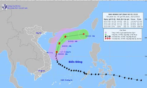 Bão số 9 di chuyển theo hướng Bắc Đông Bắc và suy yếu dần