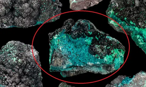 "Vàng xanh" giá trị khủng ở Việt Nam: Giá tăng dựng đứng, gần như ai cũng có mà không biết