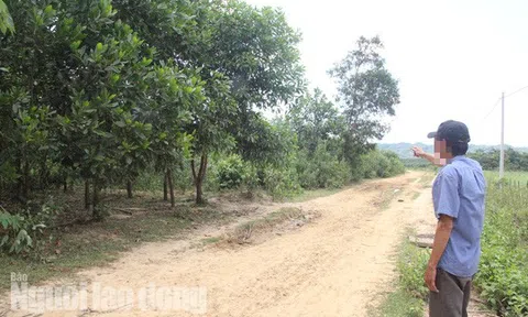 Đất rừng vào nhà cán bộ: Hé lộ danh tính những người bị đề nghị thu hồi đất