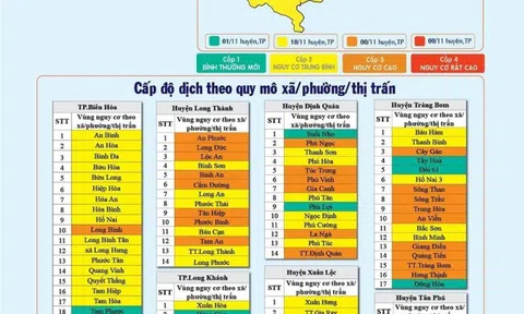 Đồng Nai: 10/11 huyện, thành phố đang ở cấp độ dịch 2