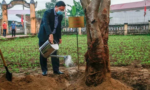 550 năm Danh xưng Quảng Nam: Chủ tịch tỉnh dâng hương tại Nhà thờ Ngũ xã Trà Kiệu