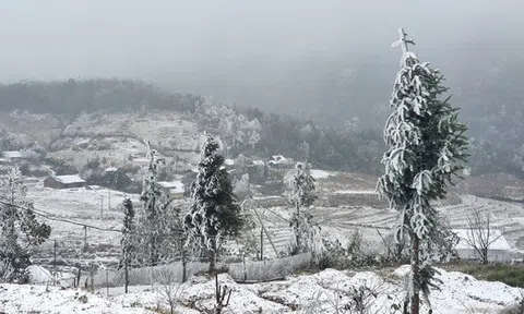 Tuyết rơi trắng xóa trên đỉnh Fansipan