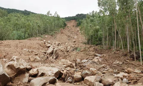 Bình Định công bố tình huống khẩn cấp về sự cố sạt lở núi Cấm