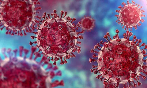 Việt Nam ghi nhận ca nhiễm biến thể Omicron đầu tiên