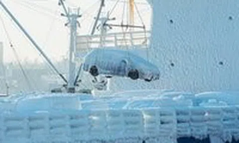 Hàng chục ô tô bị đóng băng khi được vận chuyển từ Hàn Quốc đến Ngaicon