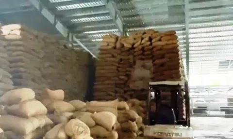 Gây ô nhiễm mỗi trường, 1 công ty hạt điều ở Phú Yên bị phạt gần 1 tỉ đồng