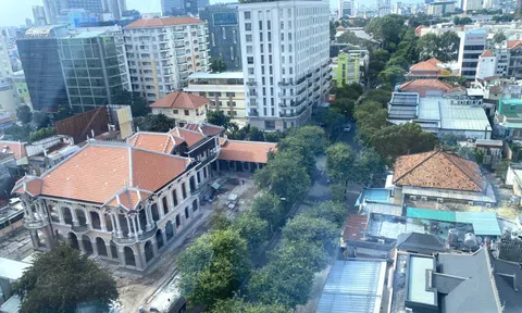 TP HCM ban hành kế hoạch trồng 10 triệu cây xanh