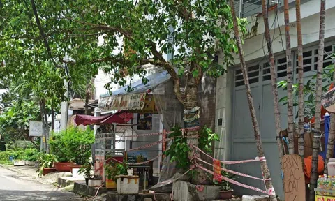 Hàng xóm là F0 vẫn mở cửa, ra ban công tập thể dục, virus có 'bay' sang nhà khác không?