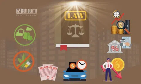 Những chính sách mới nổi bật có hiệu lực từ tháng 1/2022