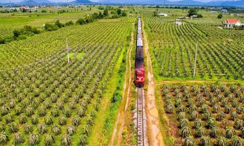 Bình Thuận không còn vùng đỏ, số ca nhiễm Covid-19 giảm sâu