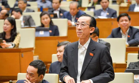 PGS.TS Trần Hoàng Ngân: Quốc hội lần đầu họp bất thường để phù hợp với "bất thường" của đại dịch