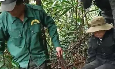 Xót xa hình ảnh đưa cán bộ lâm nghiệp bị thương khi truy bắt lâm tặc ra khỏi rừng