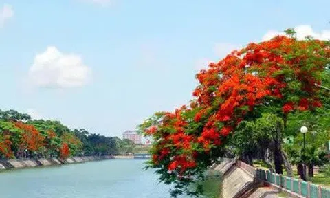 Toàn thành phố Hải Phòng chuyển thành "vùng đỏ"