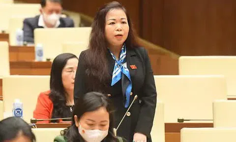 Đại biểu Quốc hội băn khoăn khi Trung Nam Group xây dựng đường dây truyền tải điện ở Bình Thuận