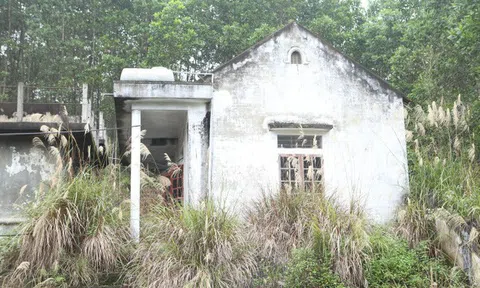 Hoang tàn nhà máy nước sạch 6 tỷ đồng ở Hà Tĩnh