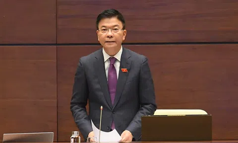 Bộ trưởng Bộ Tư pháp Lê Thành Long lý giải tại sao lại dùng một luật sửa 8 luật