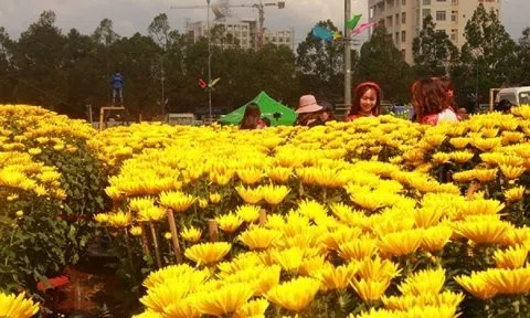 Tp.Buôn Ma Thuột lên kế hoạch tổ chức chợ hoa Tết
