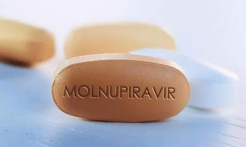 Bộ Y tế thông tin về các cảnh báo, thận trọng khi dùng thuốc điều trị COVID-19 Molnupiravir
