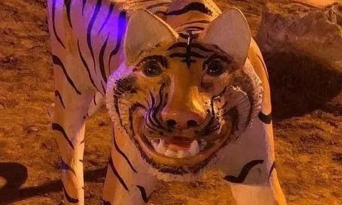 5 tượng hổ "dị dạng" gây bão dư luận: Họ cung cấp sản phẩm không đúng mẫu mã