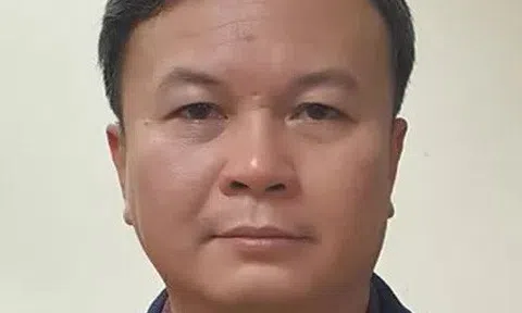 Bắt Chủ tịch Công ty TNHH MTV Công viên cây xanh Hà Nội