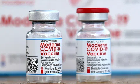 Bộ Y tế đồng ý tiêm mũi thứ 3 của vaccine Moderna bằng nửa liều cơ bản