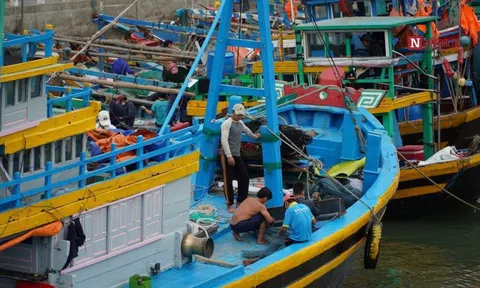 Khẩn: Bình Thuận tìm người đến Cảng cá Phan Thiết vì có ca nghi nhiễm Covid-19