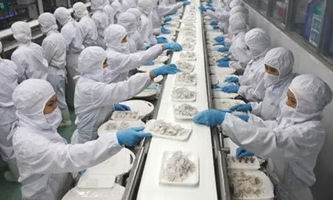 Thủy sản chế biến đông lạnh vào danh mục không kiểm dịch