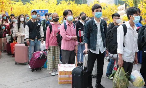 Bộ Y tế hỏa tốc đề nghị các tỉnh “không ngăn sông cấm chợ” dịp Tết Nguyên đán