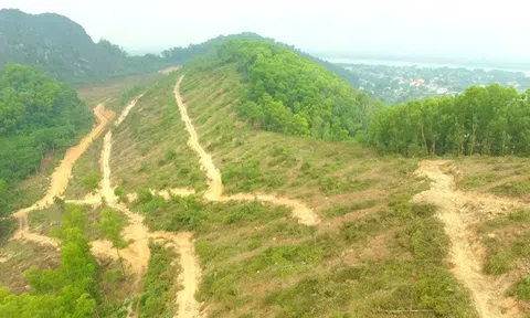 Một cá nhân 13 lần chặt phá, xâm hại rừng đặc dụng Hàm Rồng