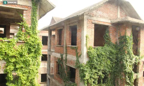 Đi qua dãy biệt thự hạng sang ở phố biển, nhiều người ngơ ngẩn "tiếc của"