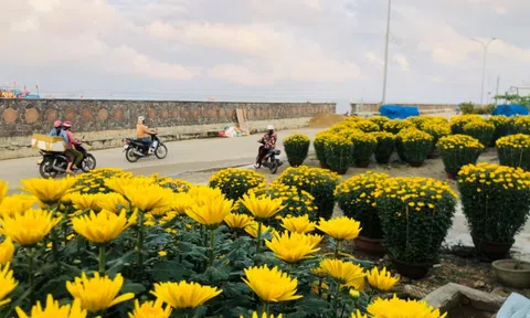 "Chở Tết" ra đảo tiền tiêu Lý Sơn