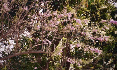 Hút hồn khi ngang qua cung đường ven biển Vũng Tàu - Bình Châu